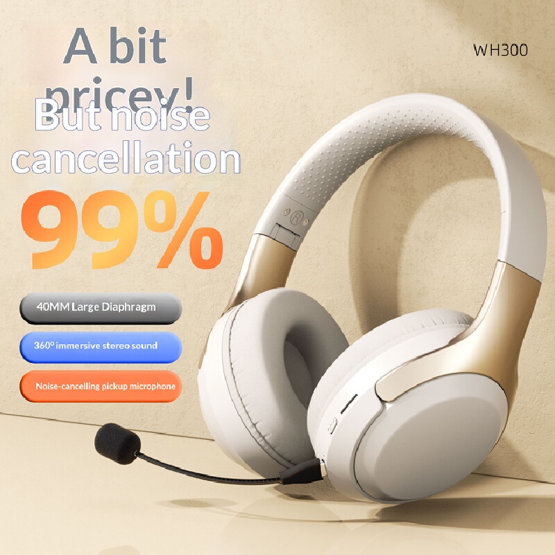 Over Ear Wireless Bluetooth He - Travel Accessories Officeworks recension och pris
